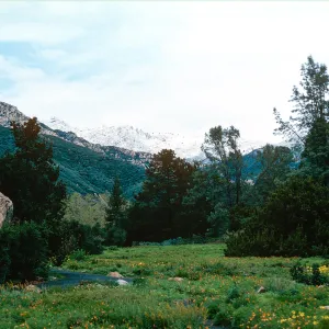 snow on Santa Ynez Mountains, meadow, Santa Barbara Botanic Garden
