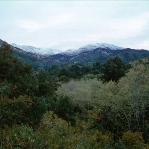 snow on Santa Ynez Mountains, Mission Canyon, Santa Barbara County