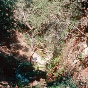 Big Falls Canyon Trail, Lopez Canyon, Santa Lucia Mountains, San Luis Obispo County