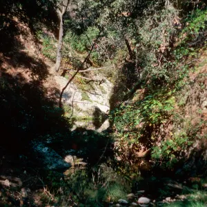 Big Falls Canyon Trail, Lopez Canyon, Santa Lucia Mountains, San Luis Obispo County
