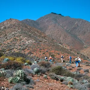 mouth of CaÃ±ada De La Mina, Cedros Island