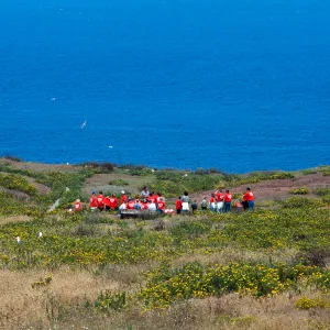 guided tour, East Anacapa Island
