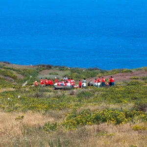 guided tour, East Anacapa Island