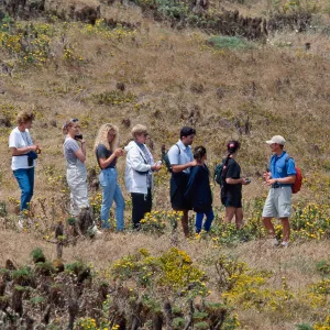 Island Packers, naturalist tour, East Anacapa Island
