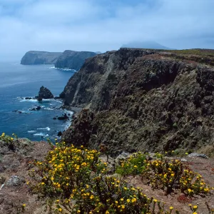East Anancapa Island--bluffs on S. side
