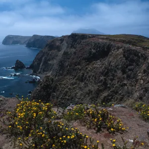 East Anancapa Island--bluffs on S side