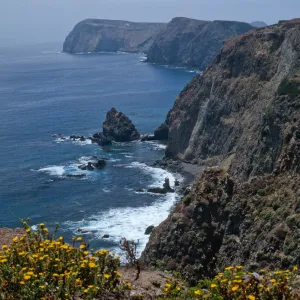 East Anancapa Island--bluffs on S side