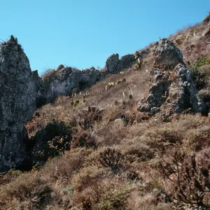 W. Anacapa Island--NE of Camel Peak
