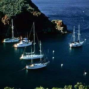 Santa Catalina Island, 4th of July Cove