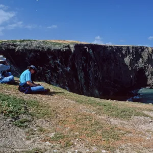 Santa Barbara Island, overlooking Webster Point