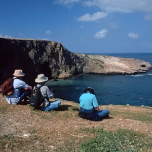 Santa Barbara Island, overlooking Webster Point
