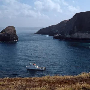 Santa Barbara Island, W side of North Peak, Dive boat