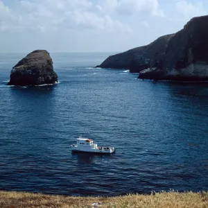 Santa Barbara Island, W side of North Peak, Dive boat