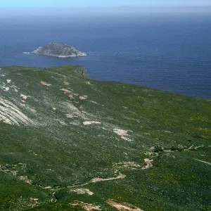 San Miguel Island, NE end by Willow Canyon