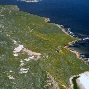 San Miguel Island, NE end from Cardwell Point area