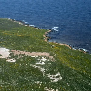 San Miguel Island, NE side between Willow Cyn. & Cardwell Point
