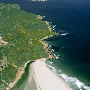 San Miguel Island, NE end of island & Cardwell Point