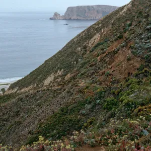 Canada del Mar trail, San Miguel Island