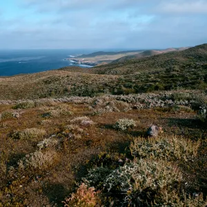 Natividad Island, view of S end from N end of ridge road