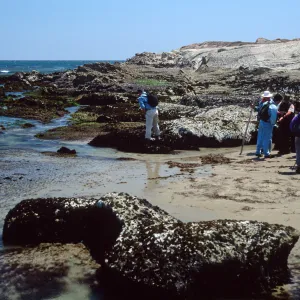 Field study group, Santa Rosa Island, east point tide pools