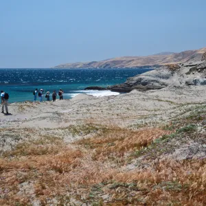 Field study group, Santa Rosa Island, S of East Point
