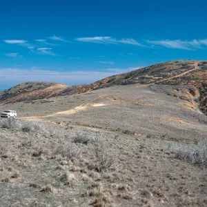 Stipa grassland, saddle on South Point Road (between Peak 1017 & Sount Point), Santa Rosa Island