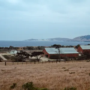 Vail Ranch, Santa Rosa Island
