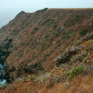 offshore bluffs, Southwest side, West Anacapa Island