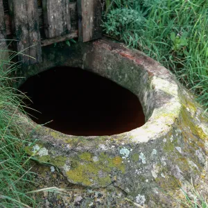 cistern, Sheep Camp, Middle Anacapa Island