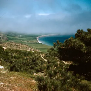 Beechers Bay from Torrey Pine grove, Santa Rosa Island