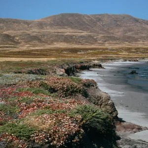 Forneys Cove, Santa Cruz Island