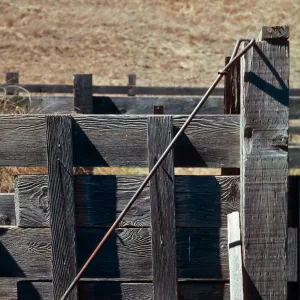 Santa Cruz Island cattle brand, Campo Del Norte, Santa Cruz Island