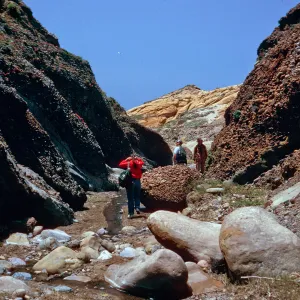 lower Sauces Canyon, Santa Cruz Island