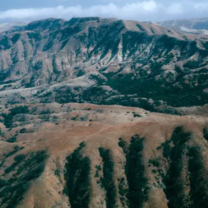 El MontaÃ±on ridge, North side, Santa Cruz Island