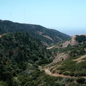 Centinela grade, Santa Cruz Island