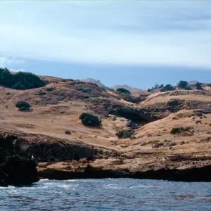 Olsens Cave, Santa Cruz Island