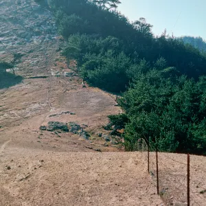 sheep damage, looking toward ragged mountain ridge from near upper Sauces Road, Santa Cruz Island