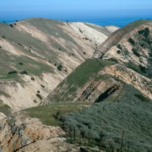 sheep fence, The Nature Conservancy/Gherini boundary, looking South, South side, Santa Cruz Island