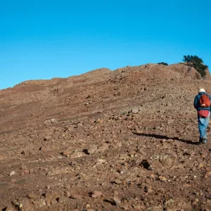 sheep damage between Picacho Diablo & Laguinitas Secas, Santa Cruz Island
