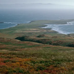 Fraser Point, Santa Cruz Island