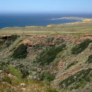 Fraser Point view, Santa Cruz Island