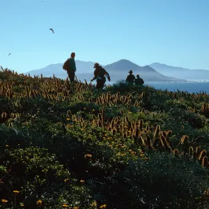 view of Punta Banda from South side of peak, South Todos Santos Island
