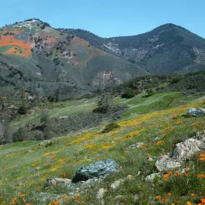 Figueroa Mountain