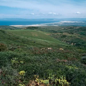 Point Sal, North