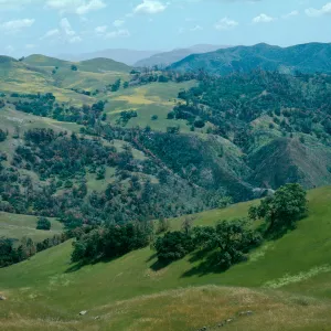 Happy Canyon, De La Guerra Springs area