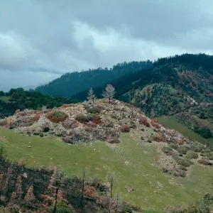 scenery, Marre burn, Figueroa Mountain area