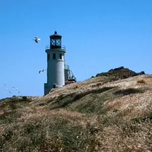 Anacapa Island lighthouse