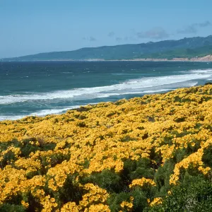 Jalama