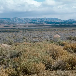 Soda Lake