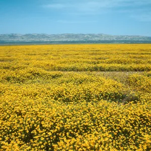 Soda Lake